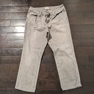 2/$15 ✨L.L Bean Favorite Fit Petite Jeans